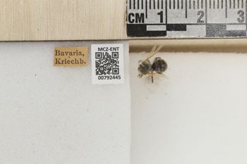 Media type: image;   Entomology 792445 Aspect: Labels